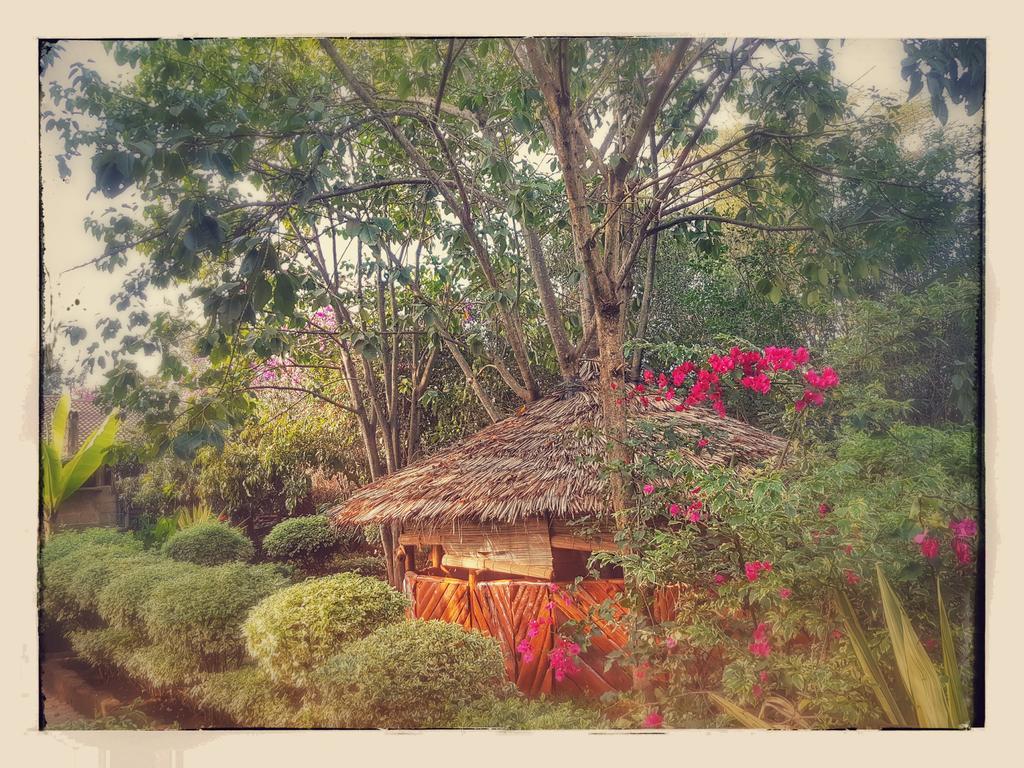 Karen Little Paradise Nairobi Exterior photo