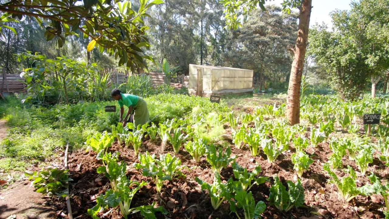Karen Little Paradise Nairobi Exterior photo